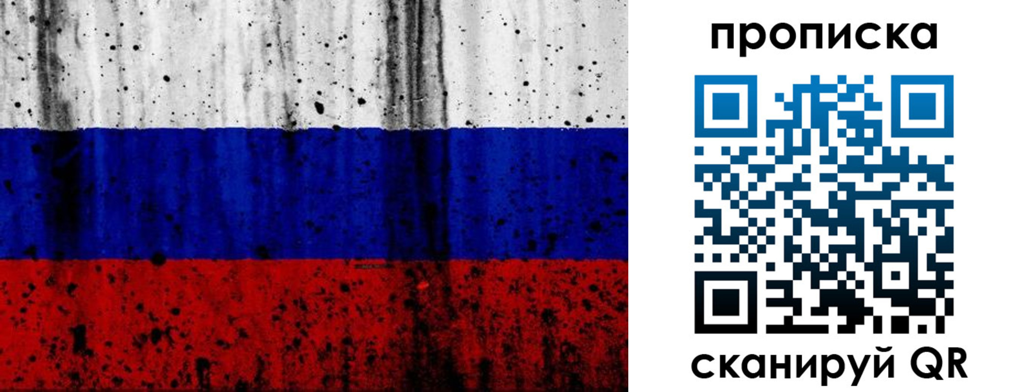 прописка поиск в Опочке